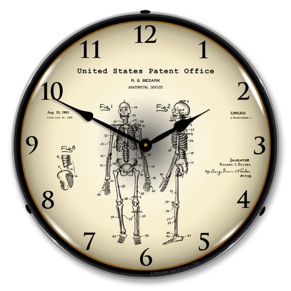 Alternative view of 1959 Anatomical Skeleton