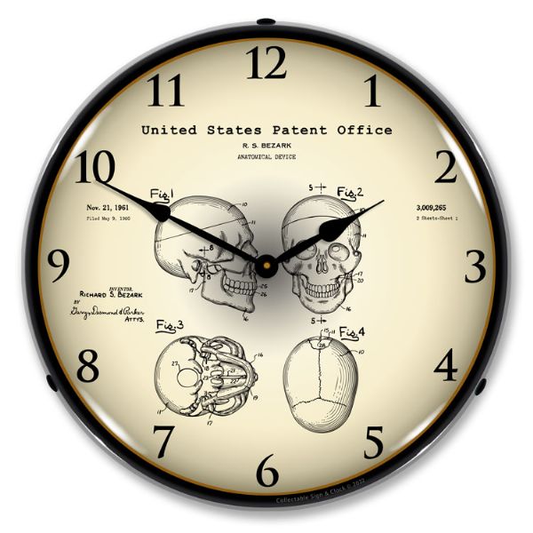 Alternative view of 1960 Anatomical Skull Patent