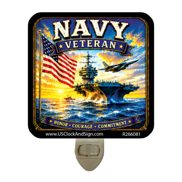 Alternative view of Navy Veteran